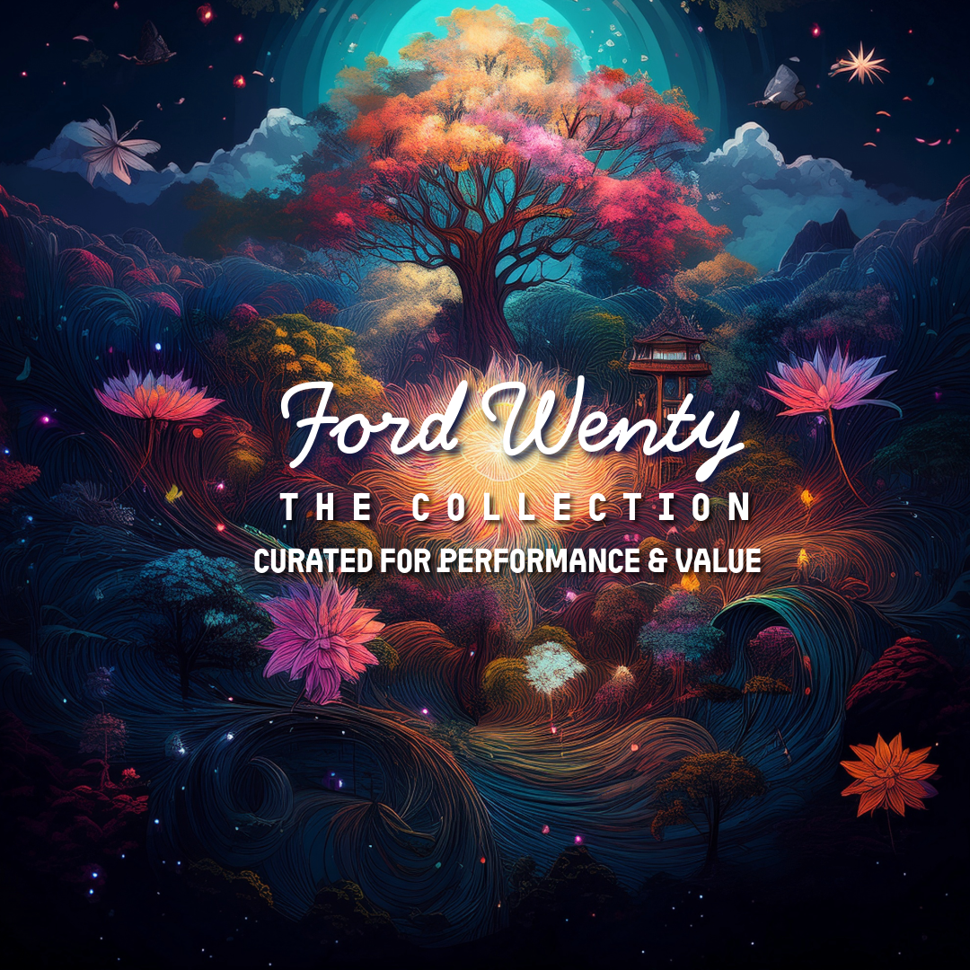 Ford Wenty
