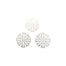 Screens for Dani Fusion 2.0