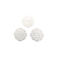 Screens for Dani Fusion 2.0