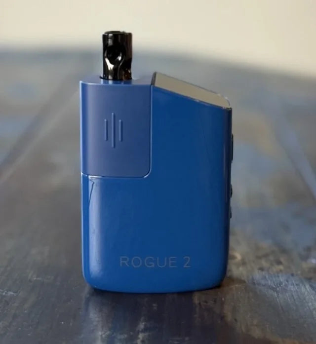 Rogue 2 by Healthy Rips WIB image