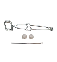 Quartz Cap Included Tongs Screens and Dab Tool