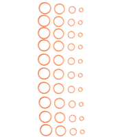 Vaphit Replacement O-rings