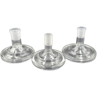 Glass Stand by VGoodiEZ