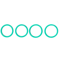 Replacement O-Rings for the Titanium Hybrid Matrix Injector Chamber by Crossing Technology