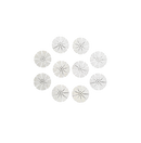 304 Stainless Steel Screens (10-pack) by Vaphit